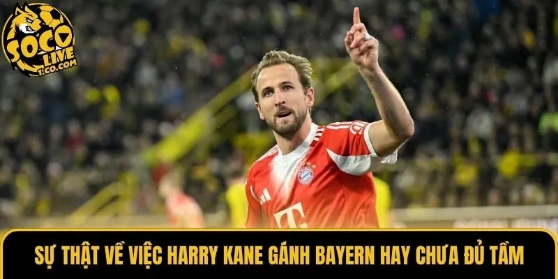 Sự Thật Về Việc Harry Kane Gánh Bayern Hay Chưa Đủ Tầm 