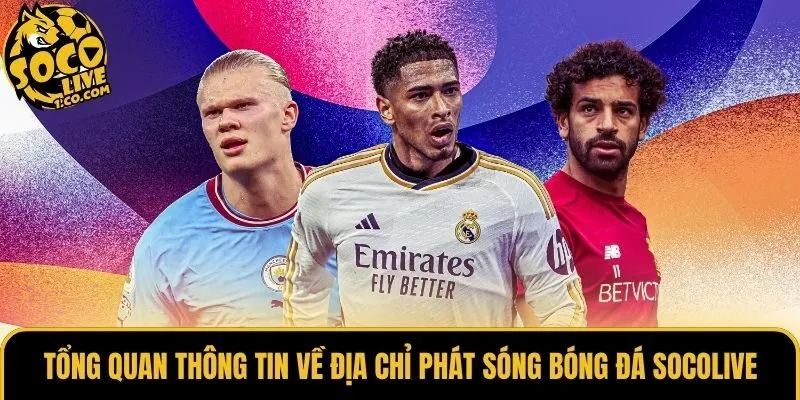 Tổng quan thông tin về địa chỉ phát sóng bóng đá Socolive